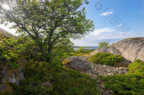 岩石海滨夏天景观岩石岛波罗的海海芬兰
