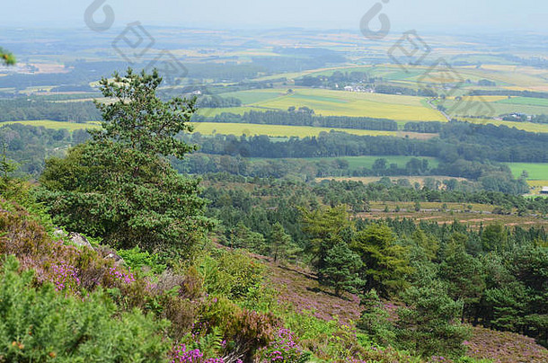 全景的观点峰会本纳奇著名的山阿伯丁郡苏格兰