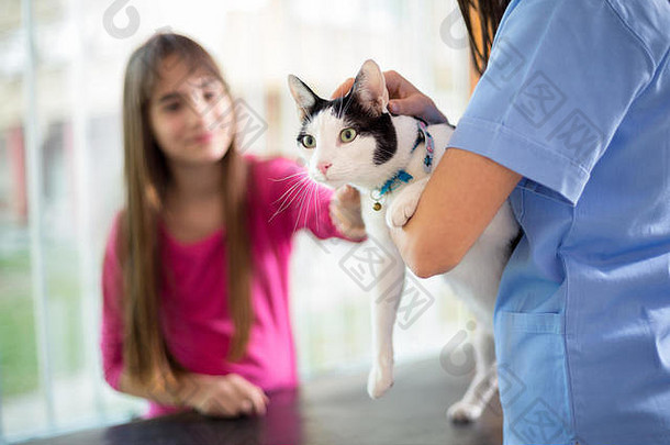 可爱的女孩带来了猫医疗检查兽医诊所