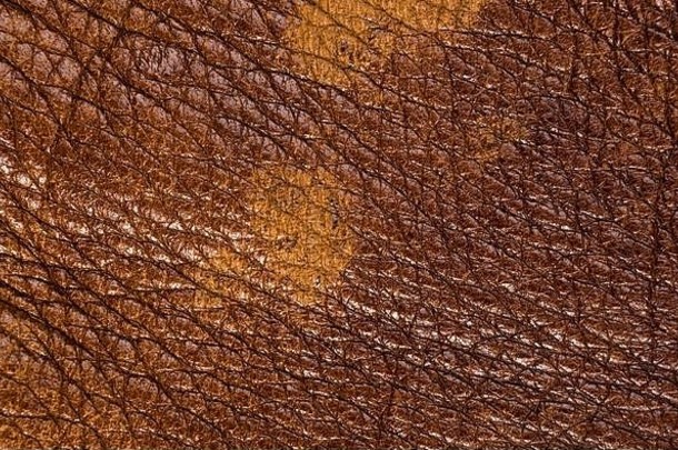 古董真正的软棕色（的）皮革纹理背景前层毛孔划痕宏特写镜头