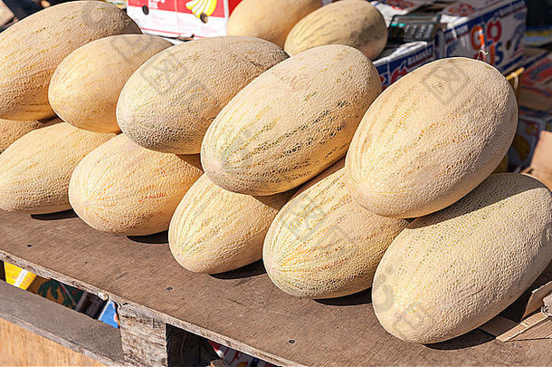 新鲜的西瓜出售农民市场