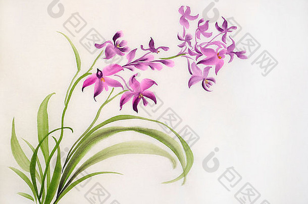 水彩原始绘画野生紫色的兰花- - - - - -亚洲风格绘画紫色的兰花