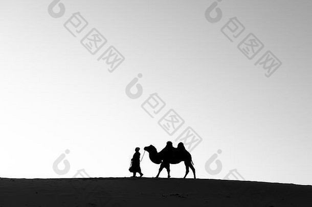 蒙古游牧民族的女人大夏的骆驼沙漠沙丘日出戈壁沙漠蒙古