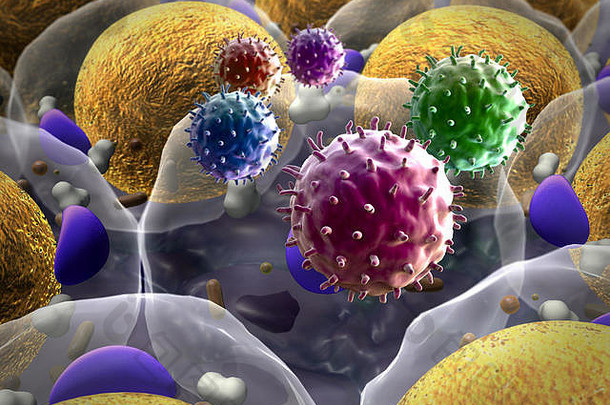 高质量渲染脂肪细胞胆固醇细胞场细胞淋巴细胞细胞部门微观图像细胞呈现