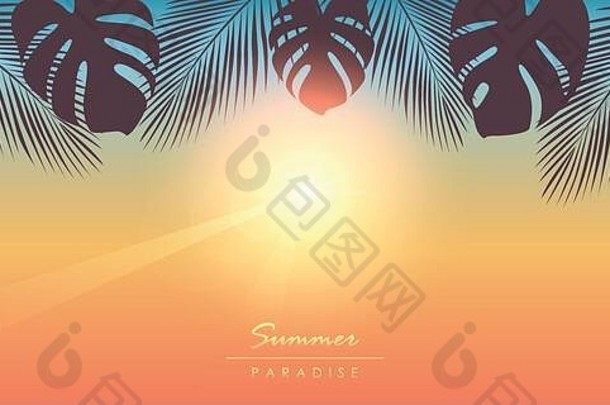 热带夏天天堂阳光明媚的背景棕榈叶子向量插图每股收益