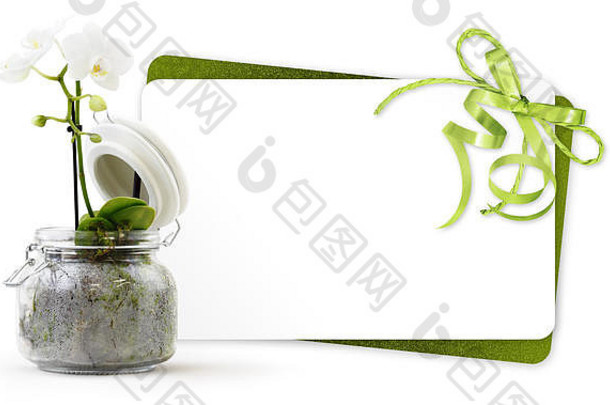礼物卡兰花花植物玻璃能绿色丝带孤立的白色背景花店商店现在问候概念