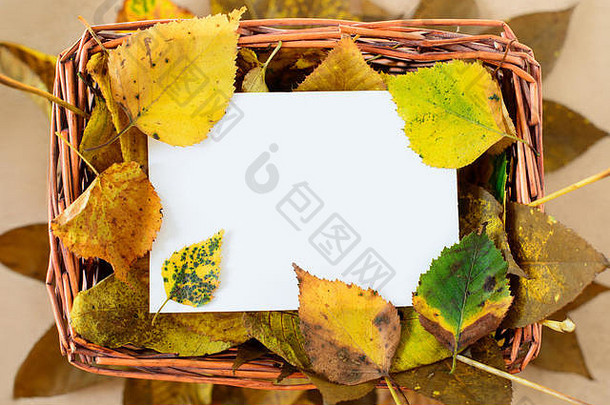 秋天叶子稻草篮子白色复制空间卡自然背景
