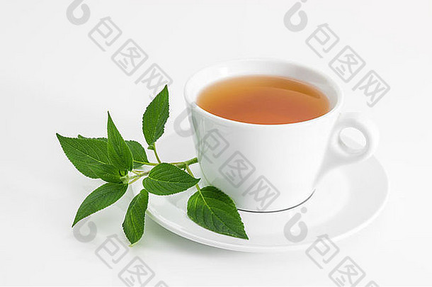 杯茶新鲜的薄荷叶子白色背景